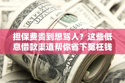 济南担保费贵到想骂人？这些低息借款渠道帮你省下冤枉钱